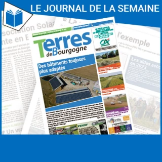 Consulter le journal