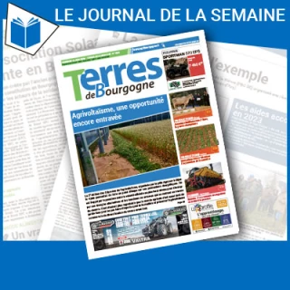 Consulter le journal