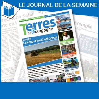 Consulter le journal