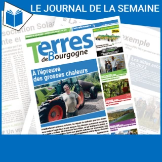 Consulter le journal