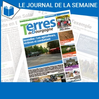 Consulter le journal