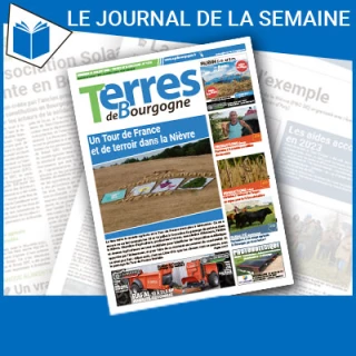 Consulter le journal