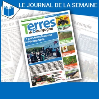 Consulter le journal