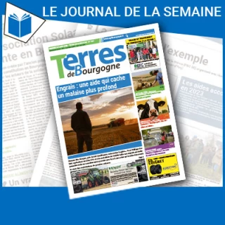 Consulter le journal