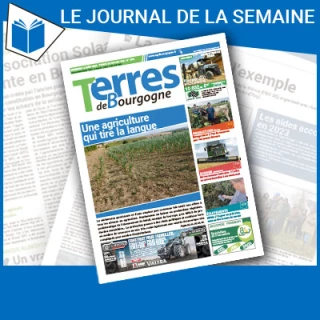 Consulter le journal
