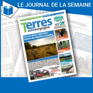 Consulter le journal