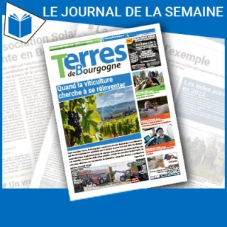 Consulter le journal