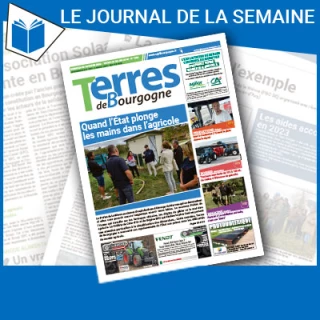 Consulter le journal