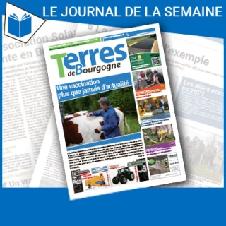 Consulter le journal