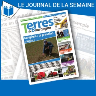 Consulter le journal