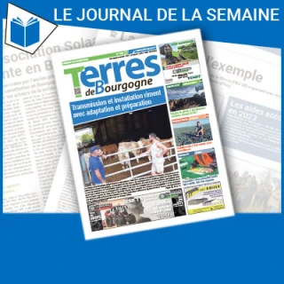 Consulter le journal