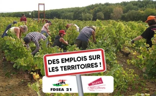 S’investir pour renforcer l’attractivité de nos métiers et pérenniser nos emplois