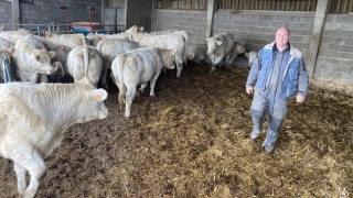 Le charbon symptomatique refait surface