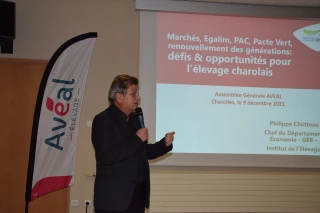 Analyse de l'avenir de l'élevage bovin à viande