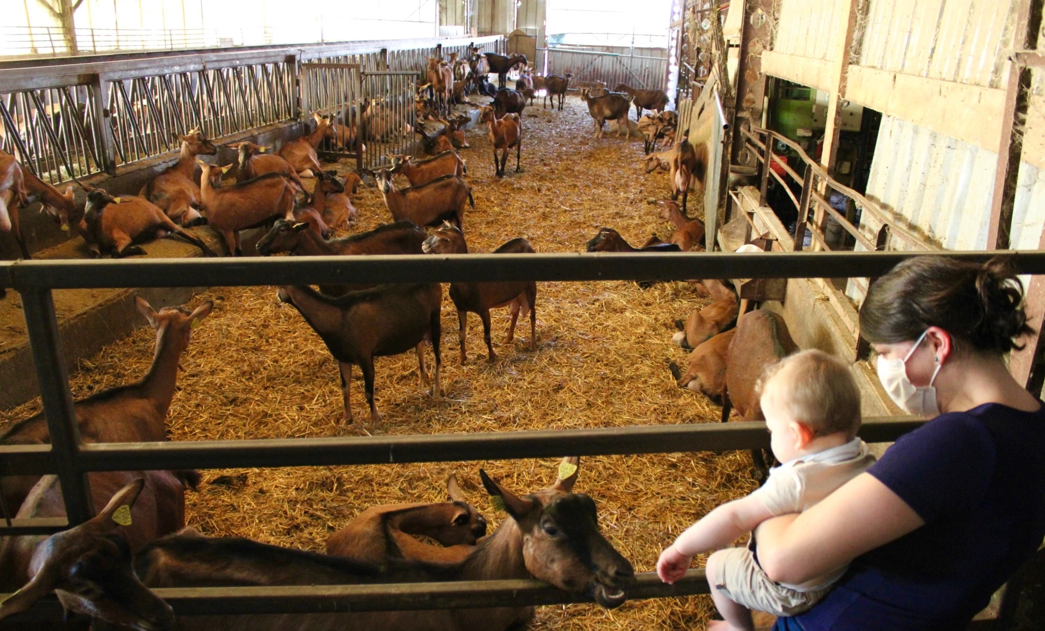 La ferme du Port Aubry c'est...