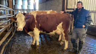 Après la pluie, le beau temps