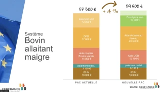 Effets de la future PAC en élevage allaitant