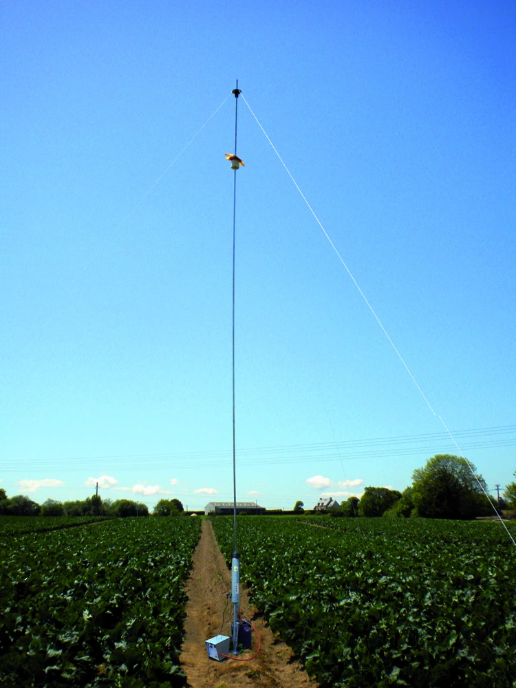 Corbeaux : Cinq hectares tranquillou