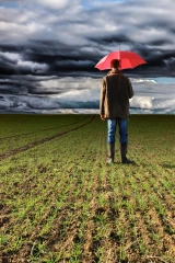 Une réforme historique pour l'assurance récoltes