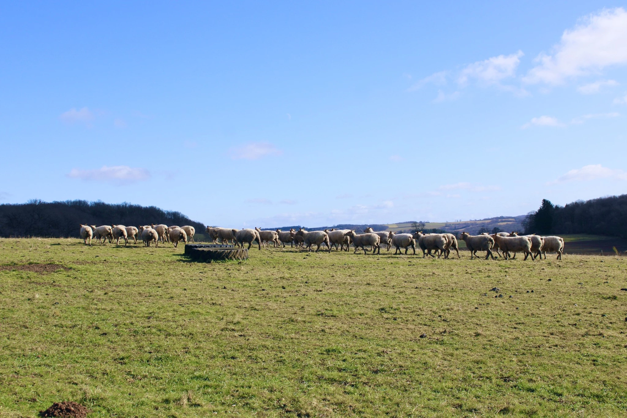 Un projet de longue date