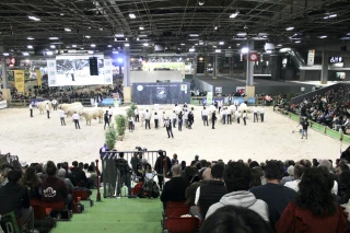 L'émotion des retrouvailles