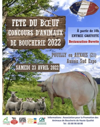 La fête du boeuf arrive