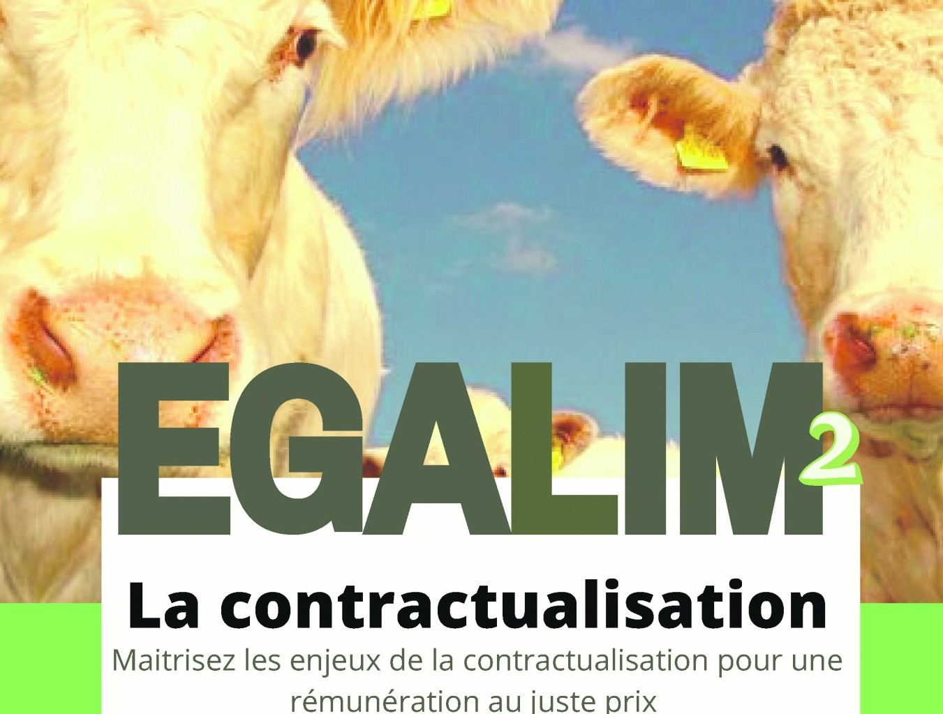 Contractualisation en élevage bovin allaitant : la Chambre d'agriculture vous accompagne