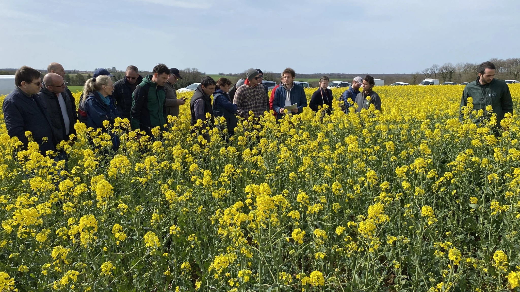 « Une culture de diversification »
