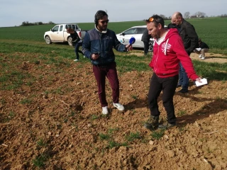 Dégât de gibier en Côte-d'Or