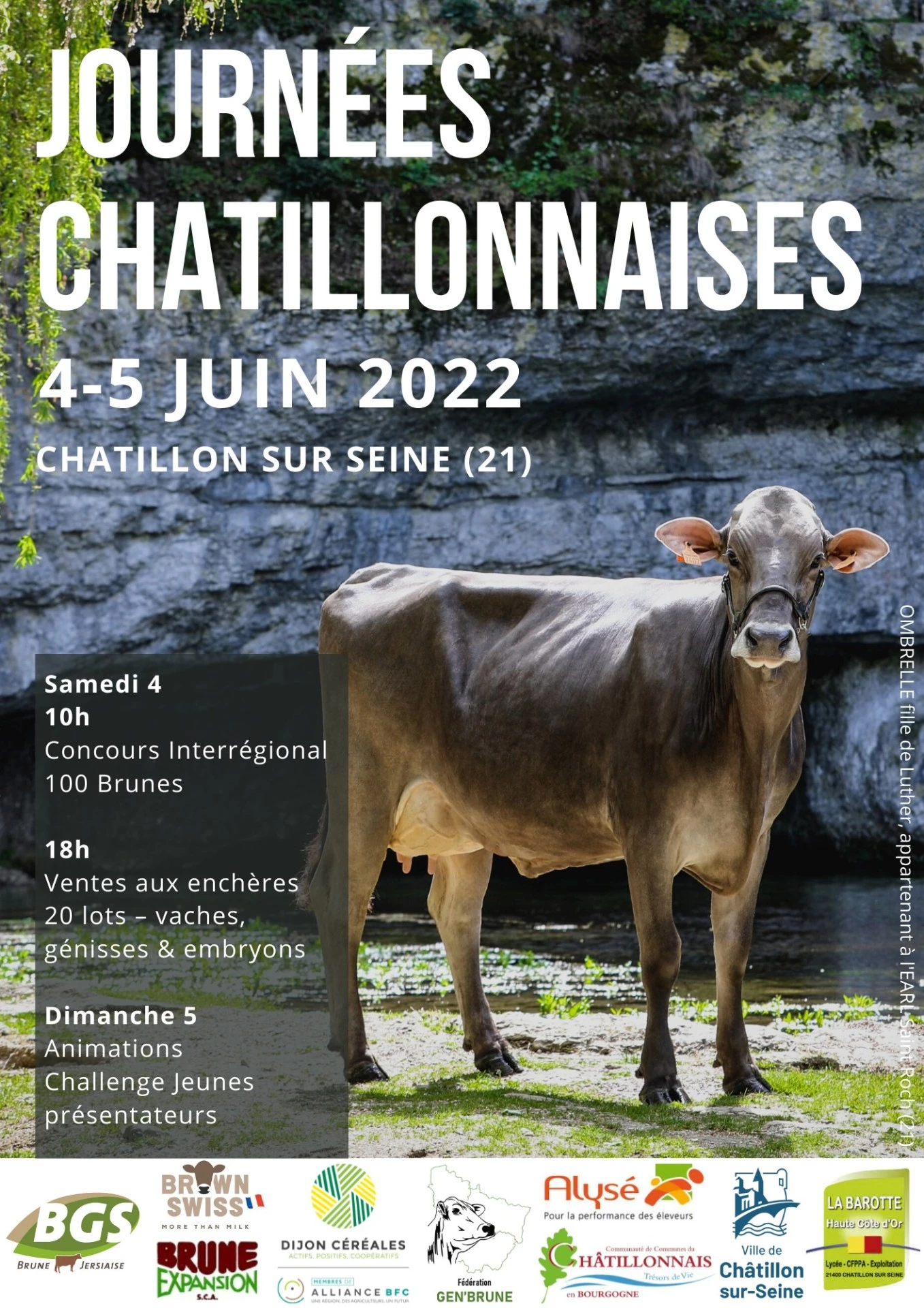 Et après, Châtillon