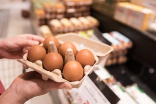 Diversification : La filière oeufs se porte bien