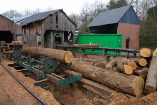 Filière bois : des investissements soutenus en BFC