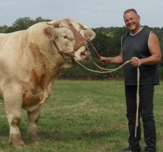 Du bon et du moins bon