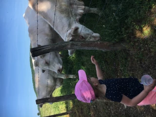 Le goût de l'envie