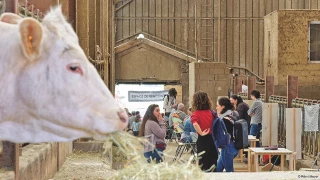 Des chercheurs à la ferme