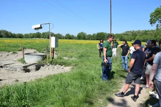 L'abreuvement des bovins