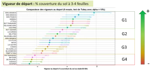 Colza : des variétés pour lutter contre les ravageurs d'automne