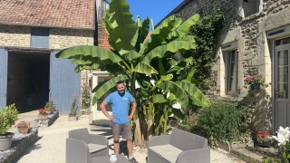 Sous les tropiques de Sainte-Sabine