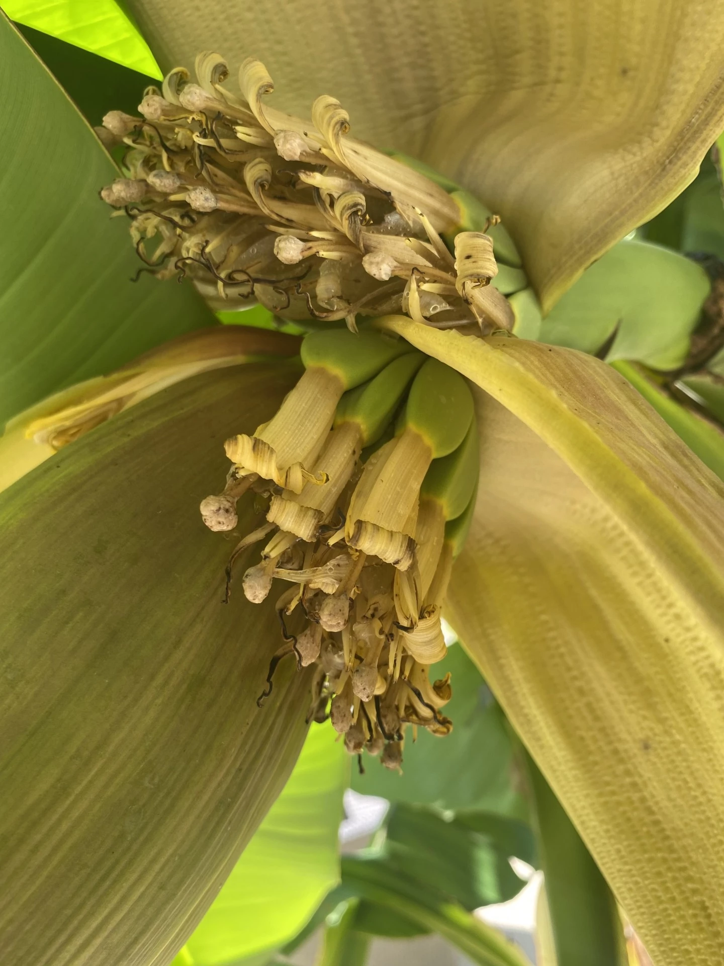 photo supplémentaire