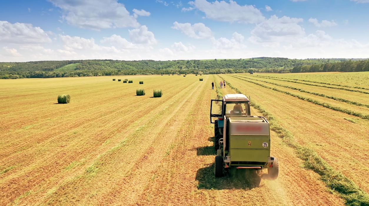 Les comptes de l'agriculture française en 2021