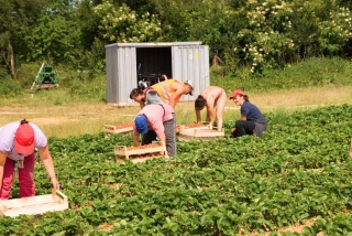 Une nouvelle grille salariale dans l'emploi agricole