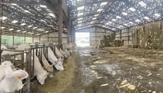 Prise en compte des dégâts de la grêle