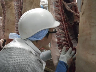 Normabev, outil pour suivre ses données d'abattage