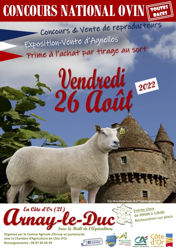 Affiche