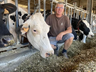 Vingt-trois ans après