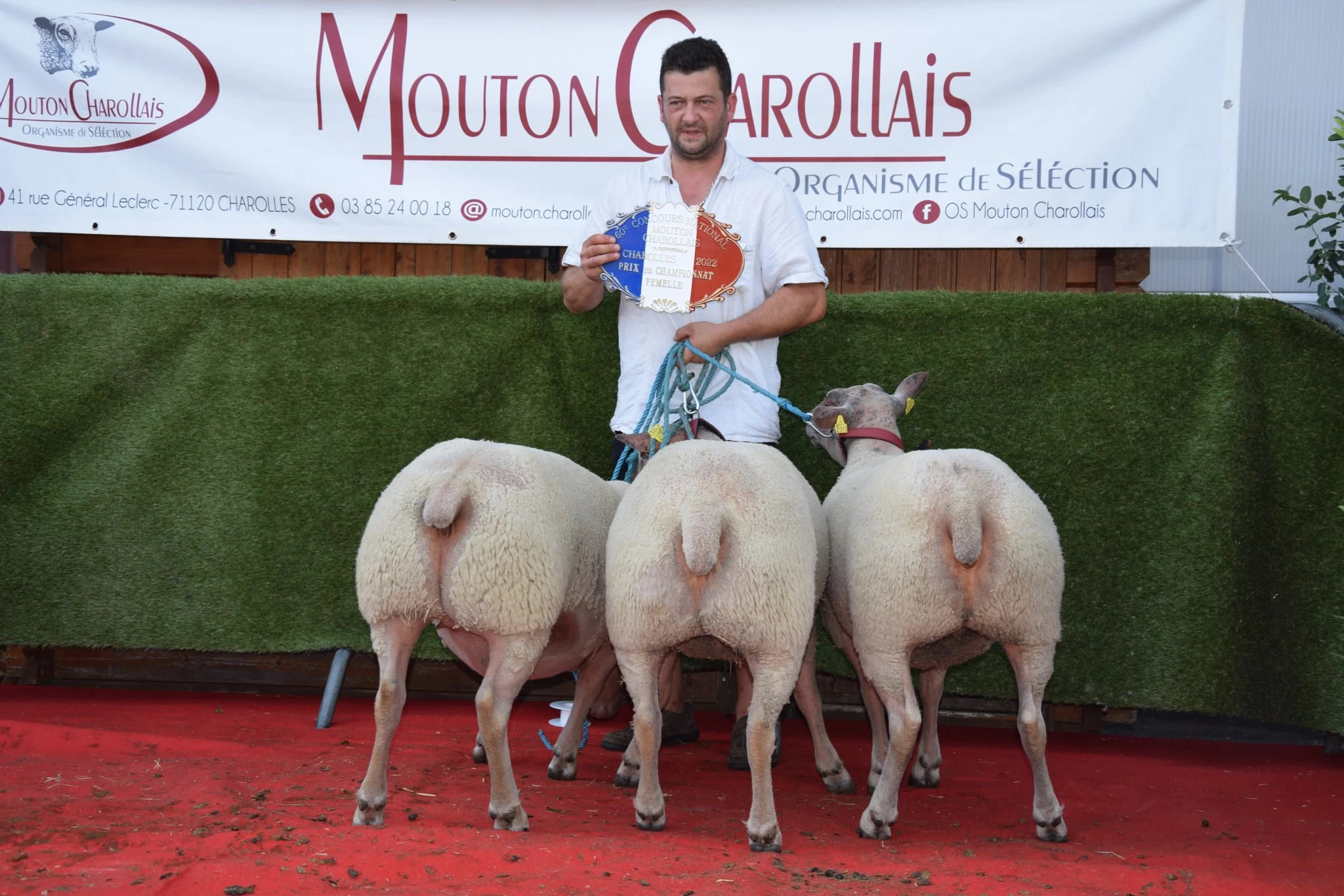 Un Côte-d'orien voit triple