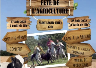 Ça y est, on y est !