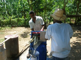 L'agriculture cubaine souffre