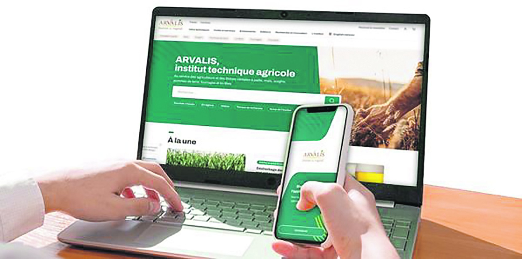 Un nouveau site web et une application dédiée aux agriculteurs