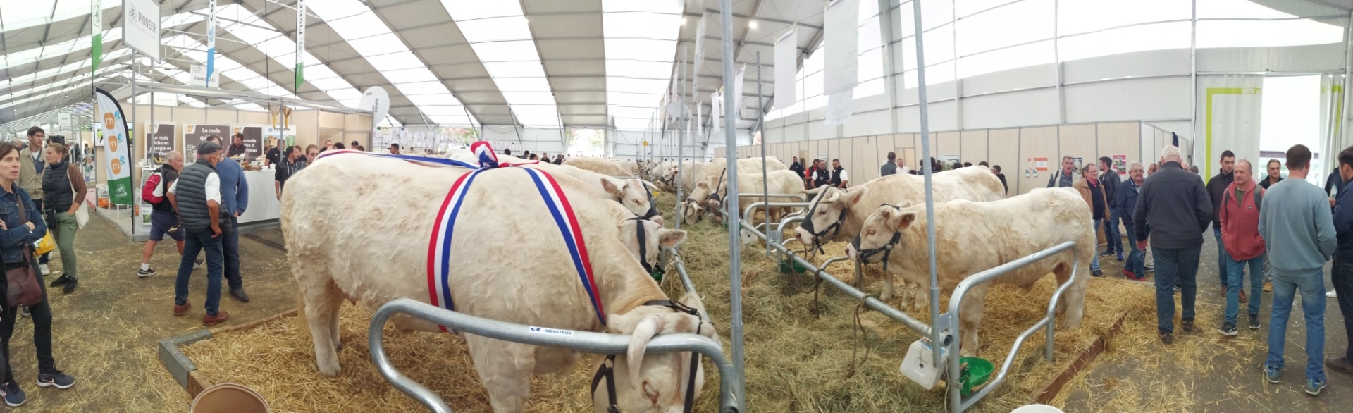 Sommet de l'élevage : un prix pour le Gaec Deboux (58)